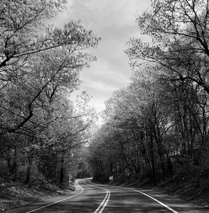 winding_road_by_zikon